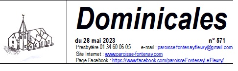 Dom 571