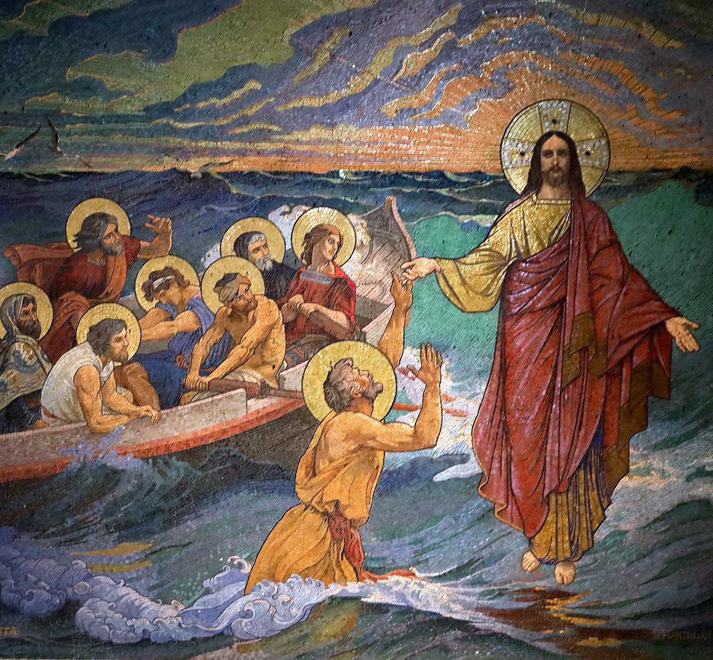 51354731312_3483194faf_b